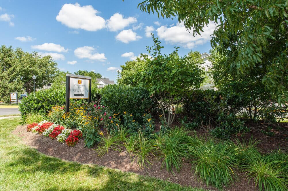 Sunny neighborhood community in Herndon, VA.