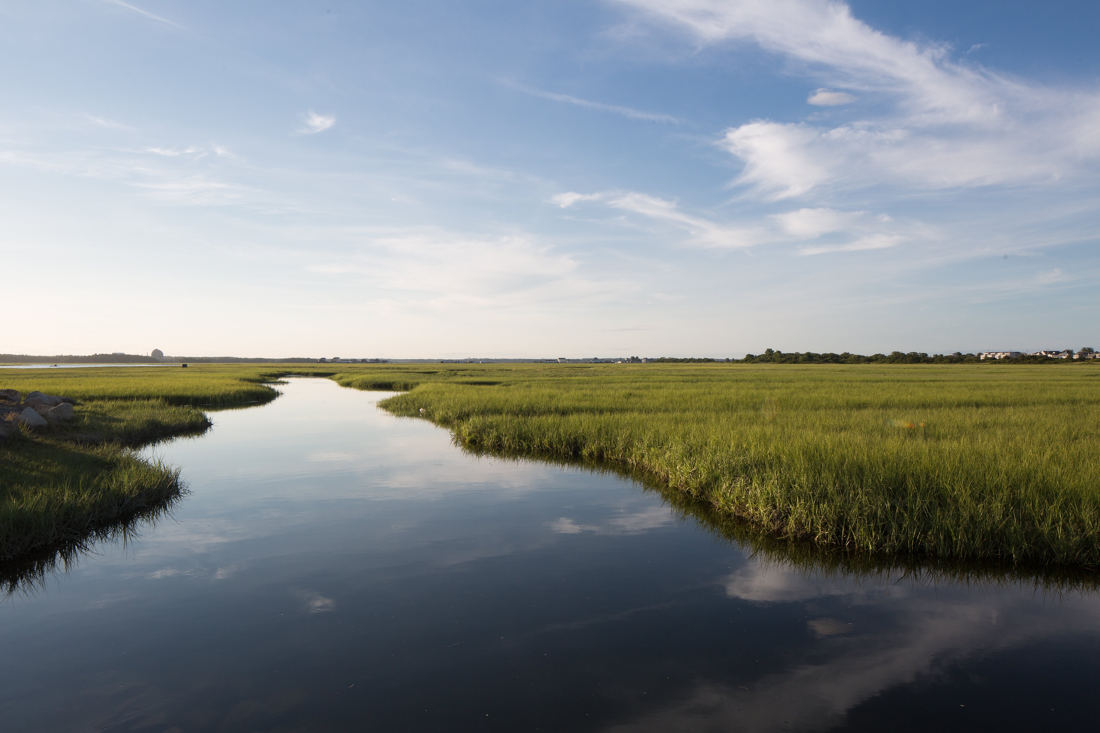 A river flows through a grassy wetland.