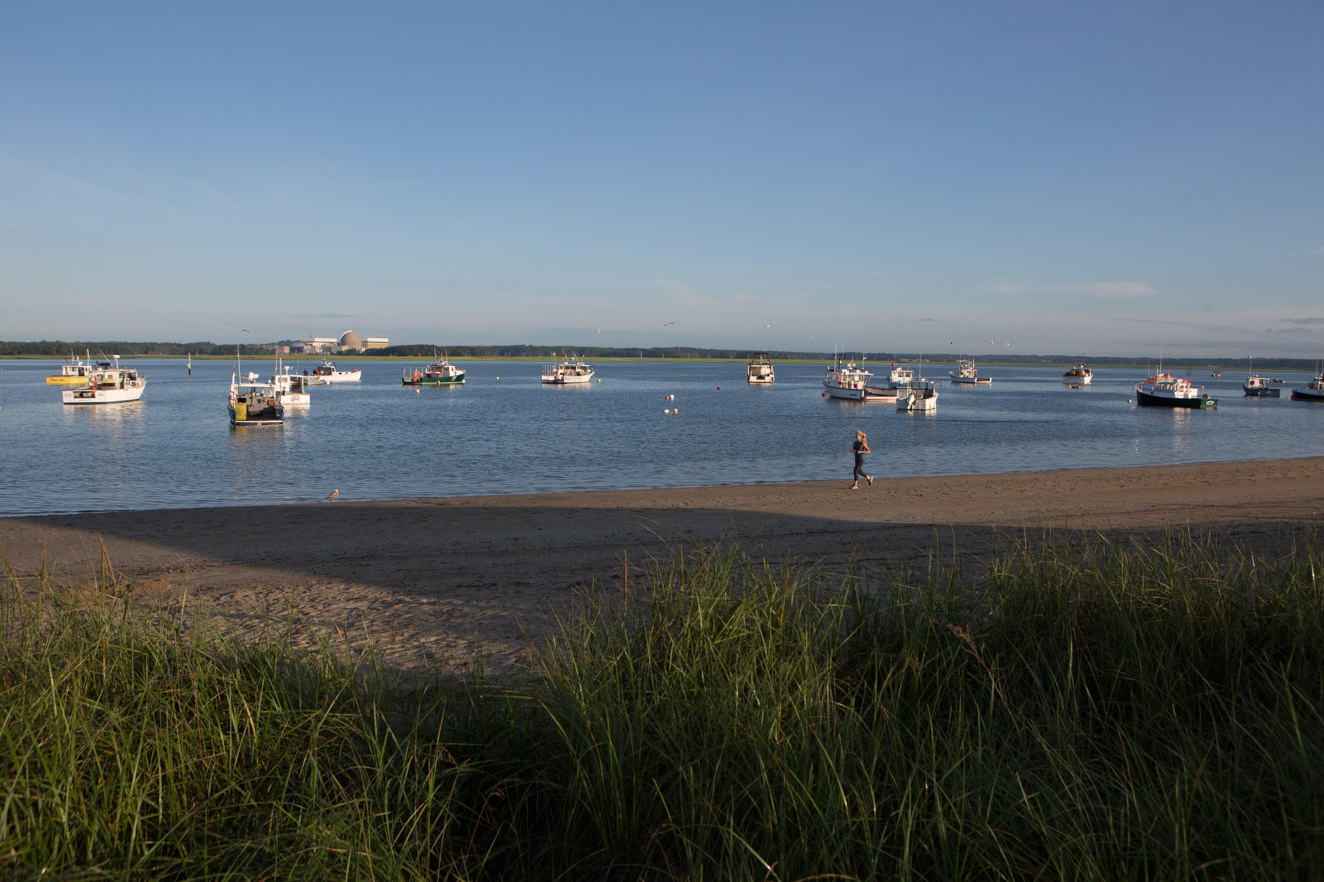 A person is walking on the beach near the water.