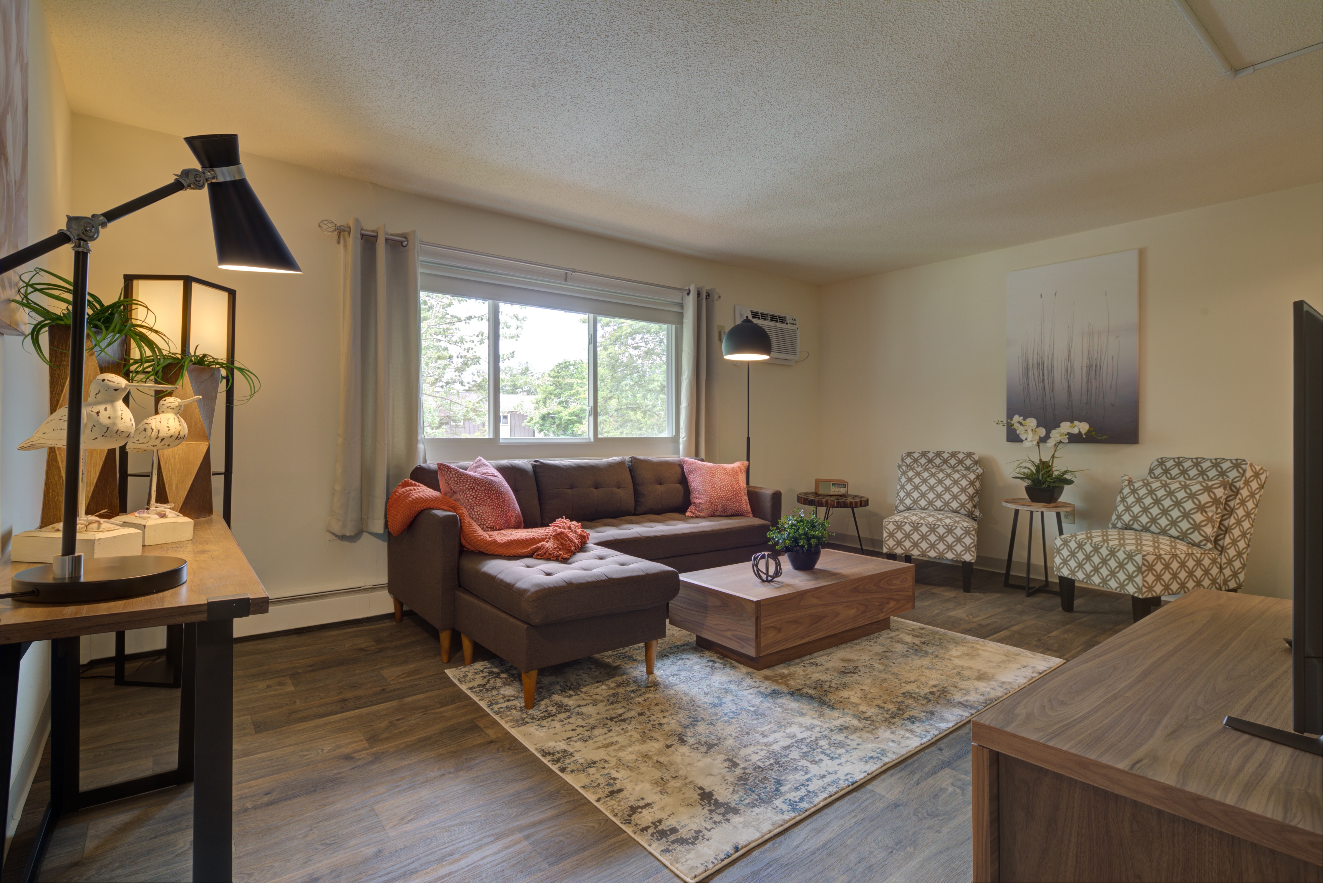 A living room with couch