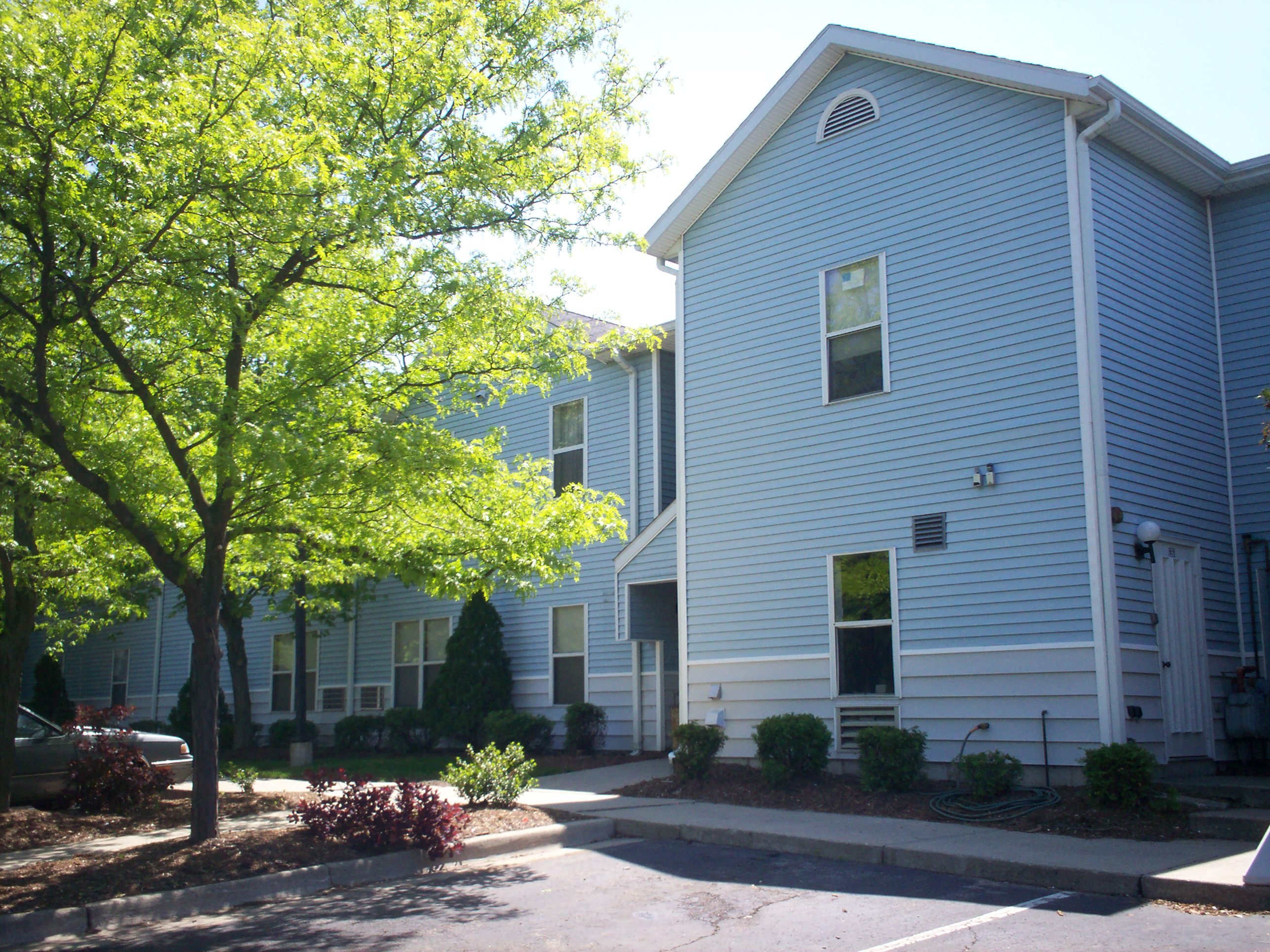 blue and white  sided building sunshine