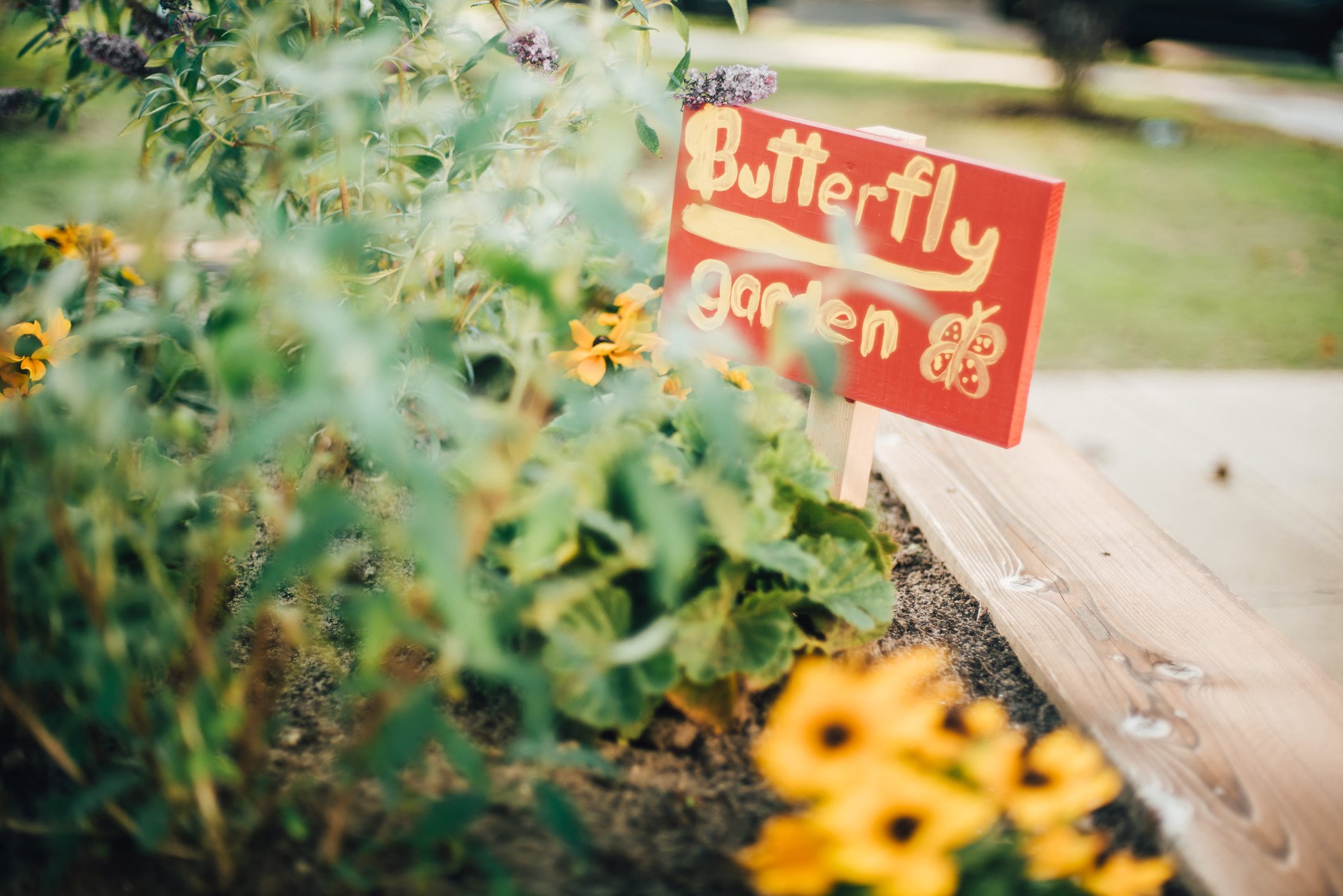 Community garden at housing community