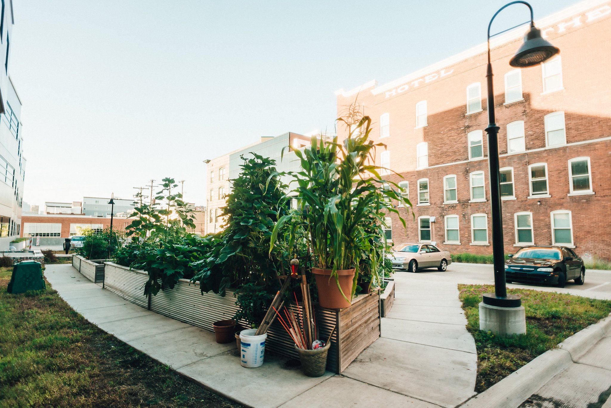 community garden in downtown