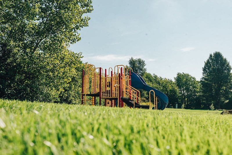 playground surrounded by grass and trees