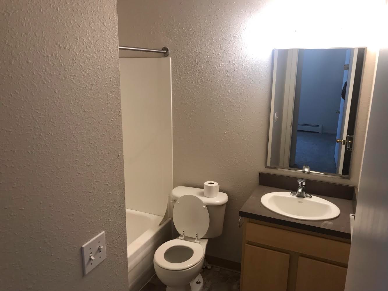 bathroom with single vanity