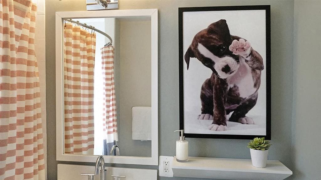 Photos and Video of Alister Morristown in Morristown, NJ