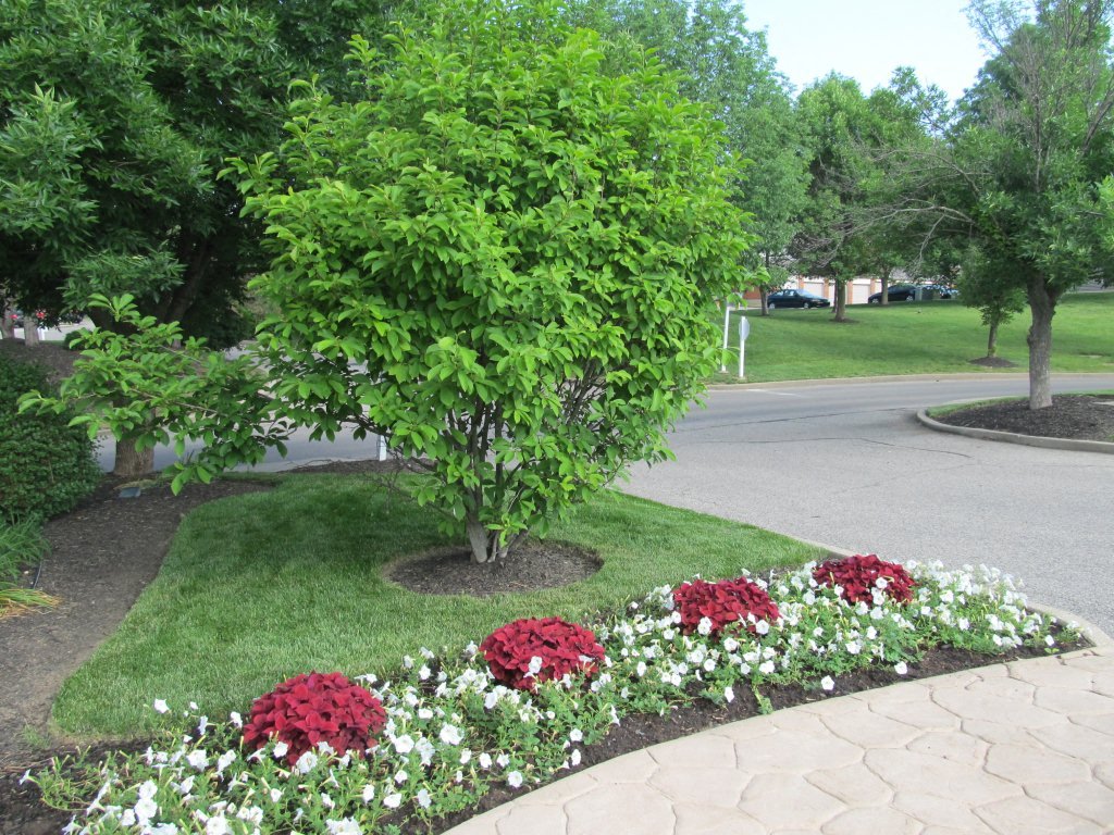 The Crossings of Oakbrook Apartments in Burlington, KY RENTCafe