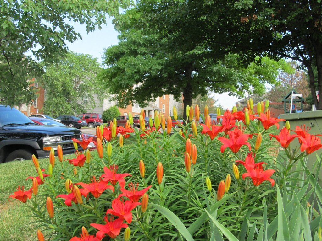 The Crossings of Oakbrook Apartments in Burlington, KY RENTCafe