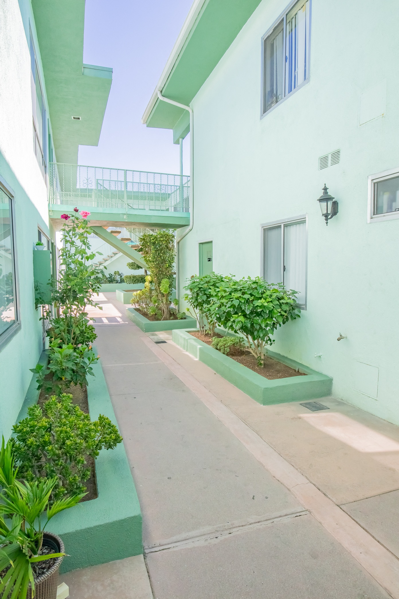 an outside view of a building with plants and a balcony