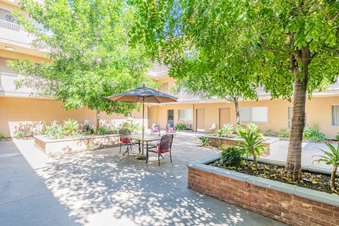 A patio with a table and chairs under a tree.