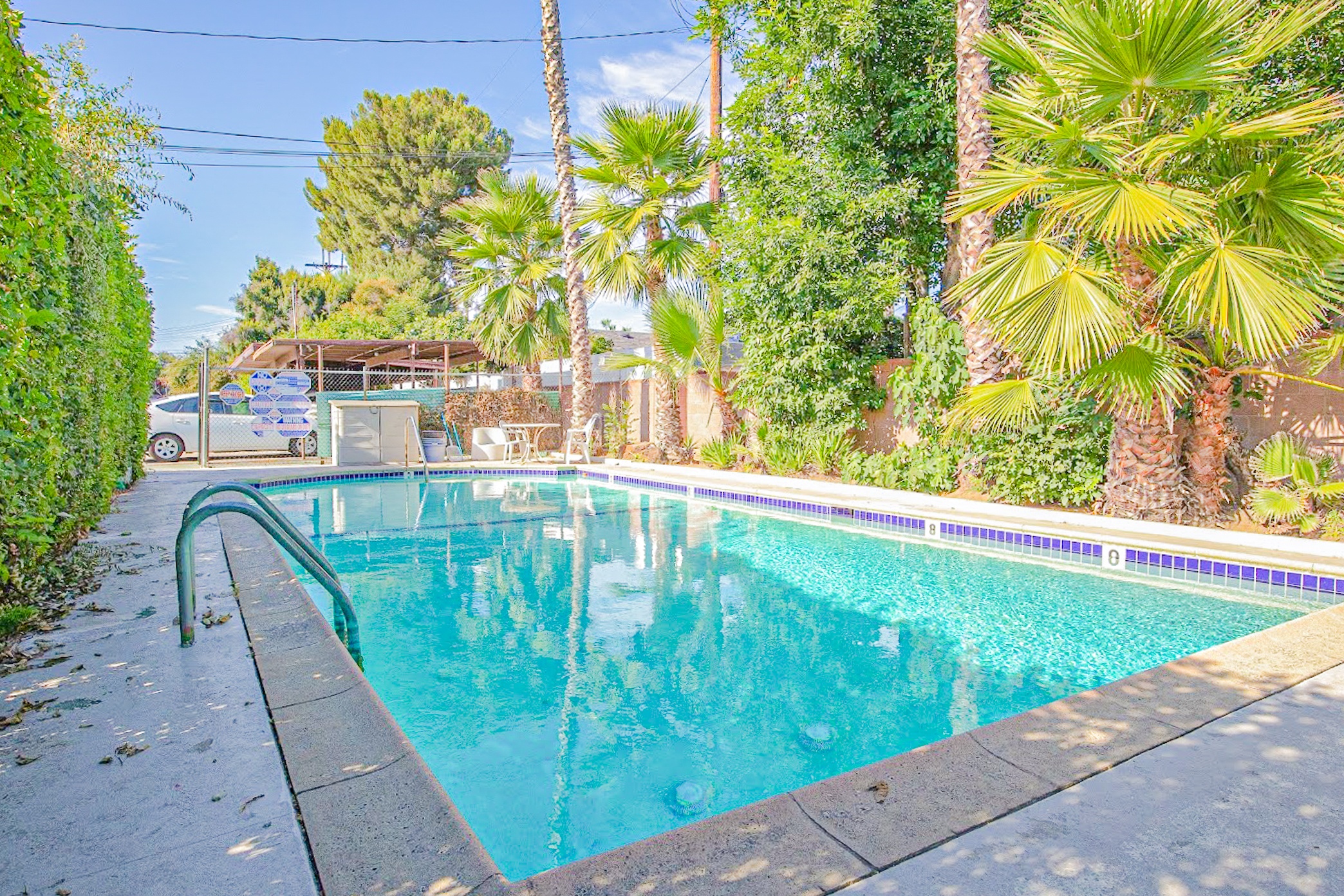 a swimming pool in a backyard with palm trees