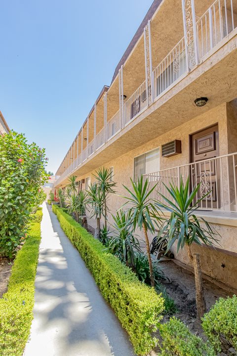 a street in front of a building with plants and a sidewalk