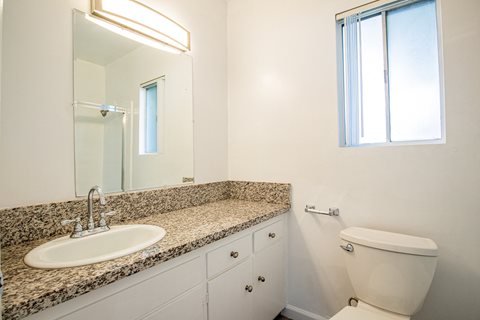 a bathroom with a sink and a toilet and a mirror
