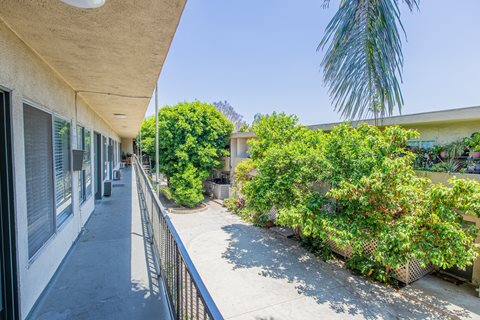 a building with a long sidewalk and some trees and bushes