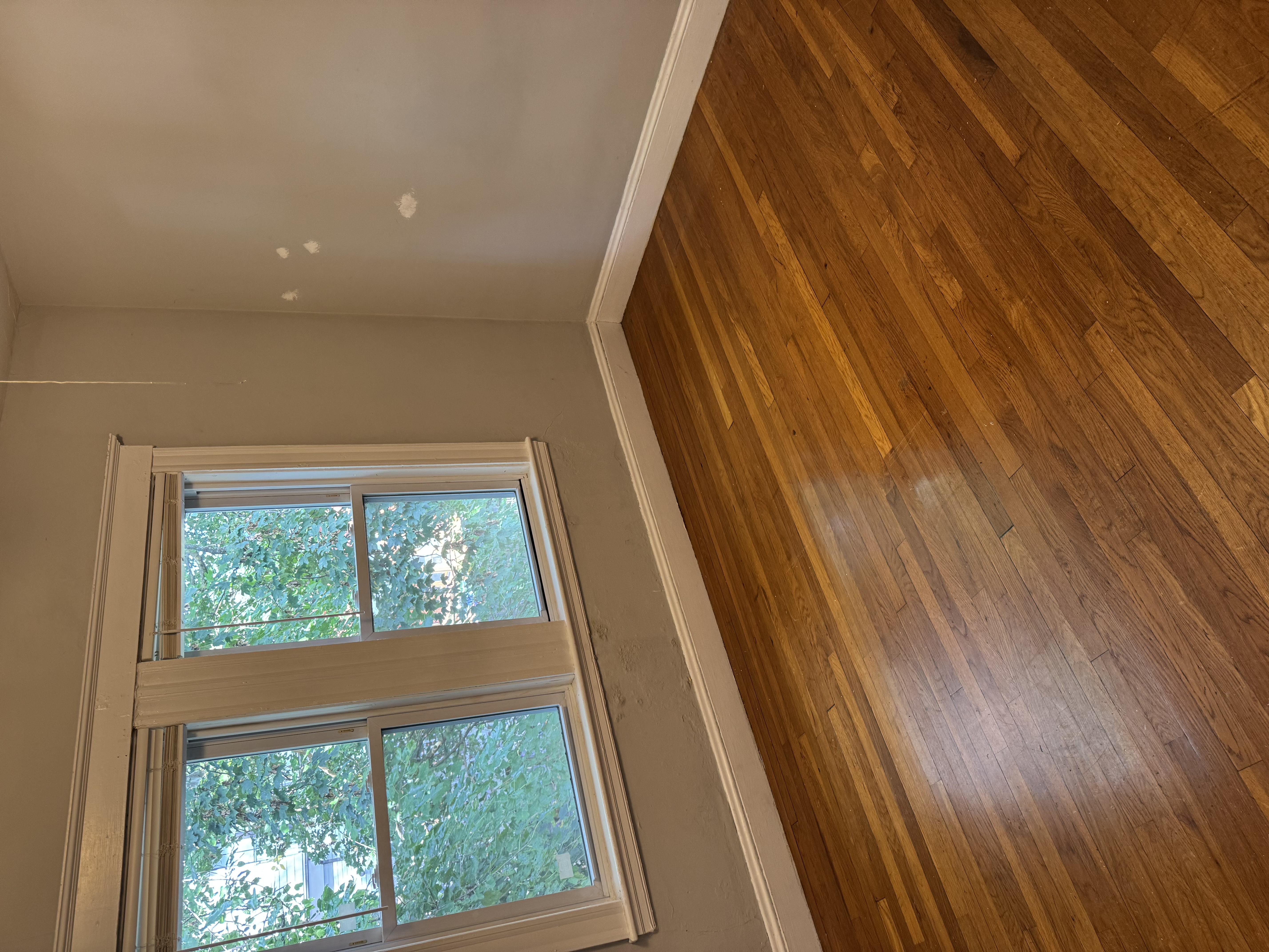 A window with a view of trees is in a room with wooden flooring.