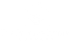 Promise Homes Manager, LLC Logo 1
