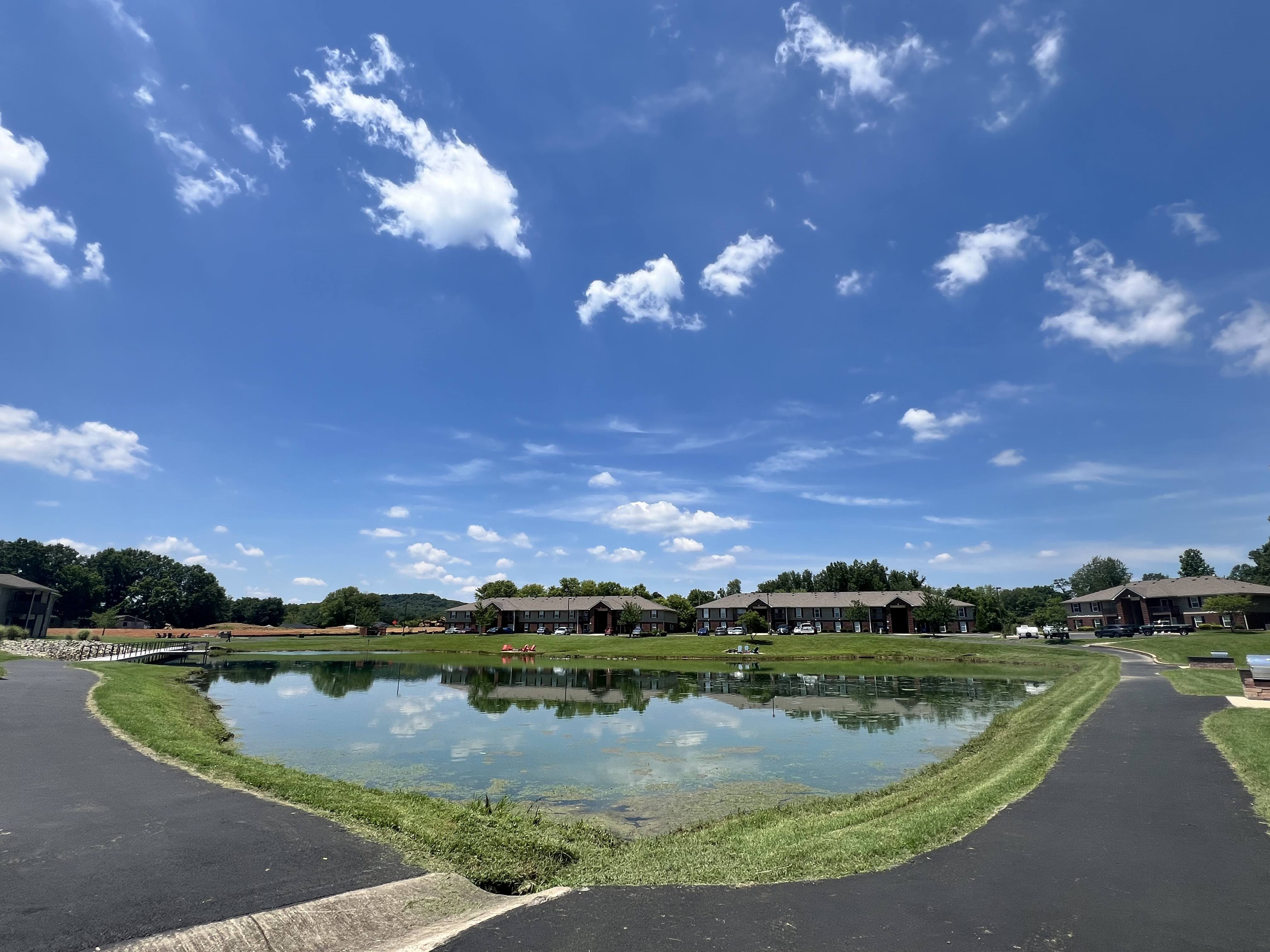 Pond