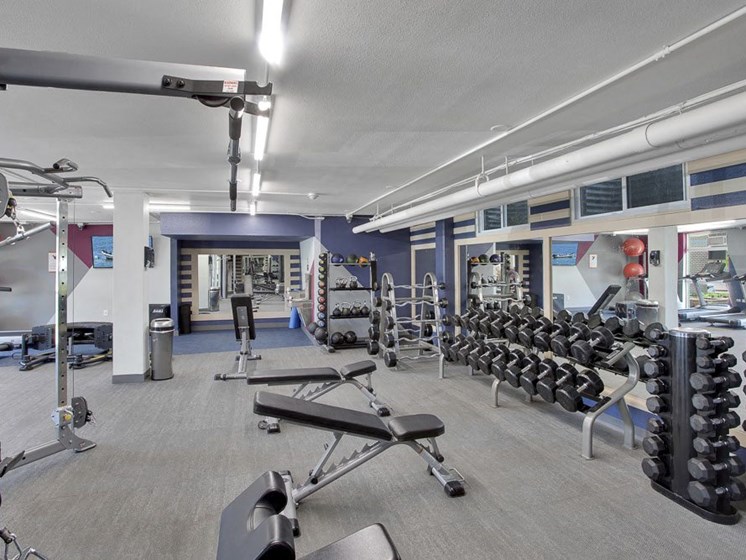 Work out and have fun in the newly designed fitness center