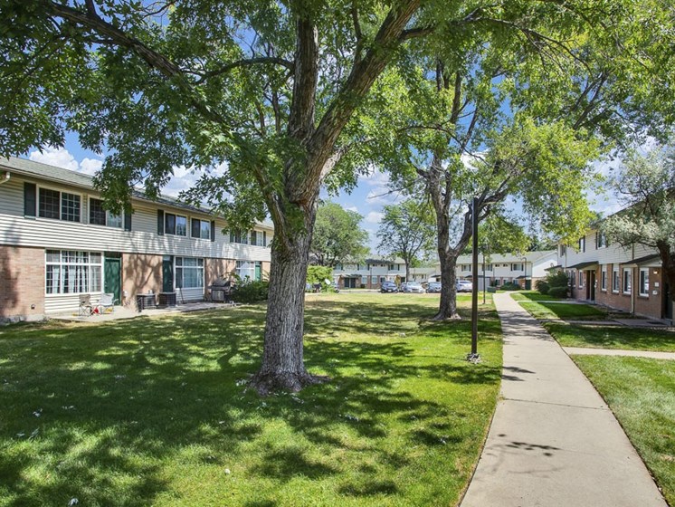 Tree lined sidewalks