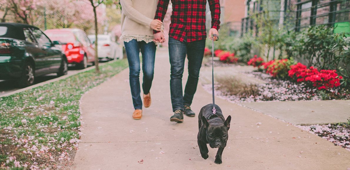 Paw-friendly pathways and walkable neighborhoods make every stroll a breeze at 1355 Pearl in Denver, CO