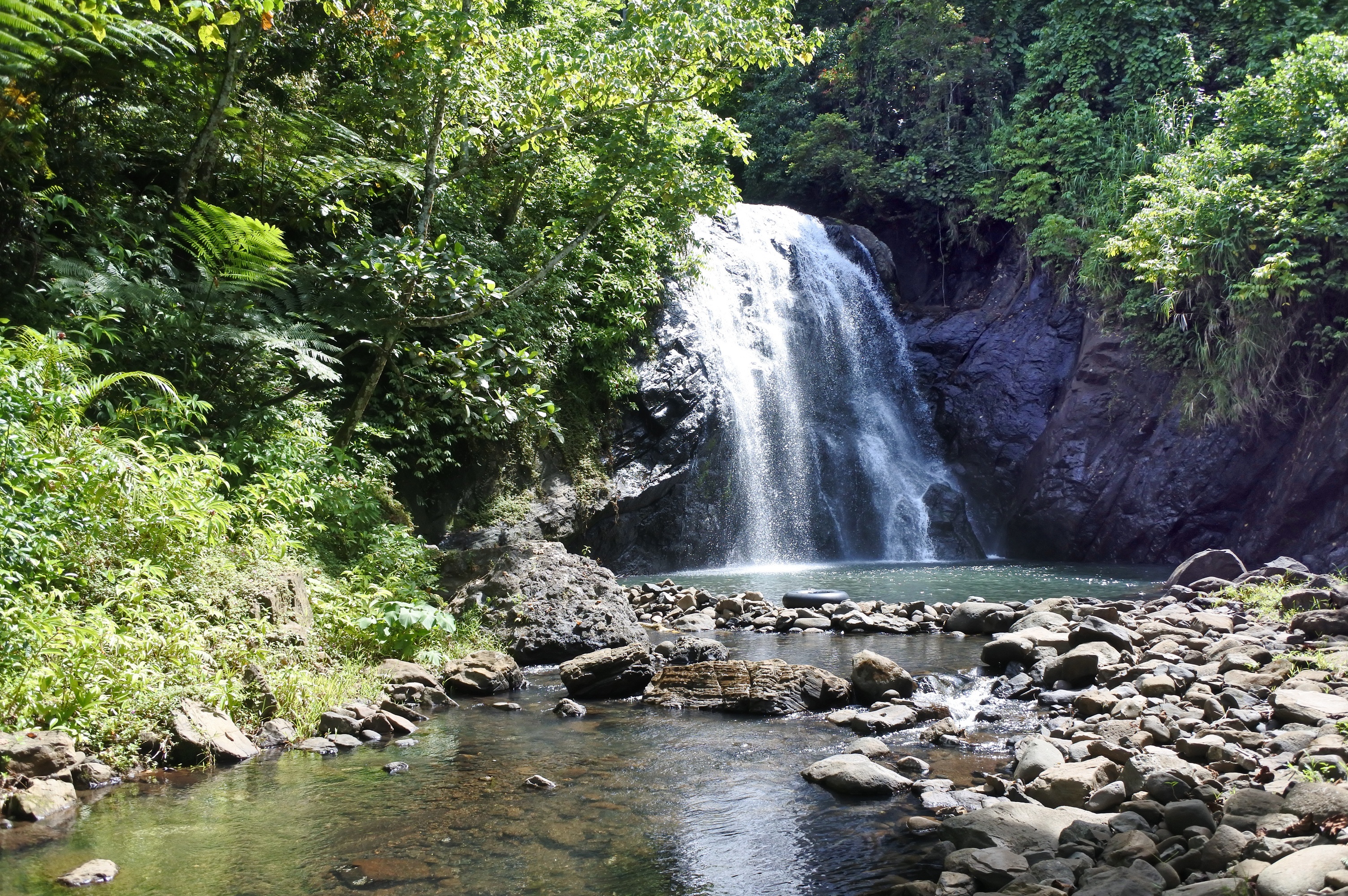 A peaceful waterfall surrounded by lush greenery
