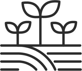 Community Garden