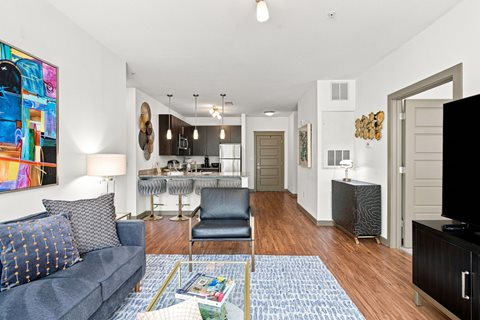 A living room with a grey couch and a blue rug.