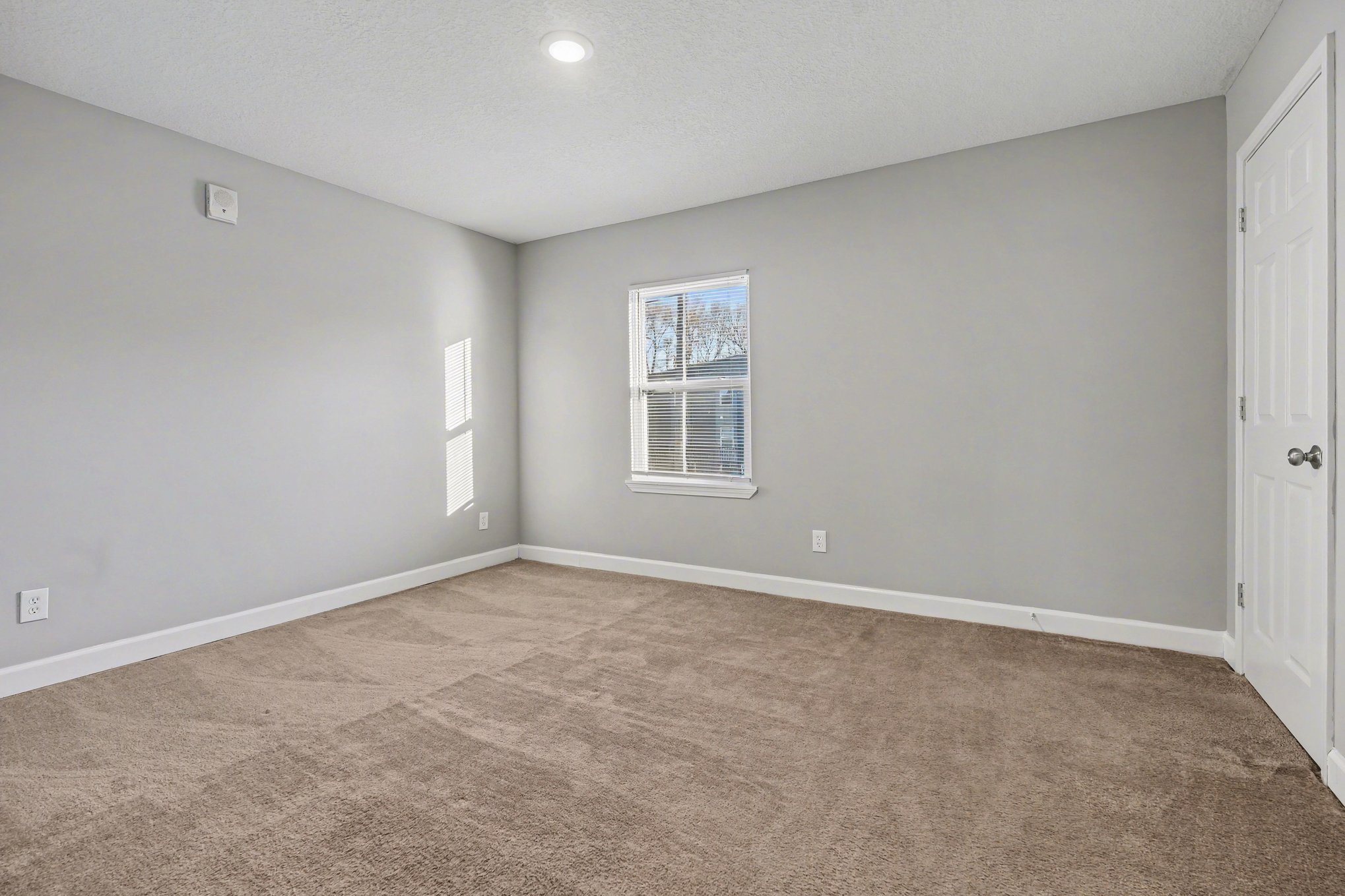 A room with a carpeted floor and a window with blinds.