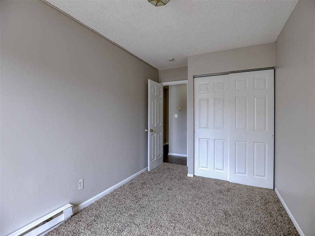 a bedroom with a closet and carpet