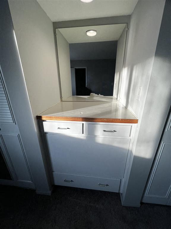 a bathroom with a counter and a mirror
