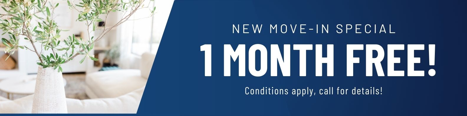 Now move-in special. 1 Month free rent! Conditions apply, call for details