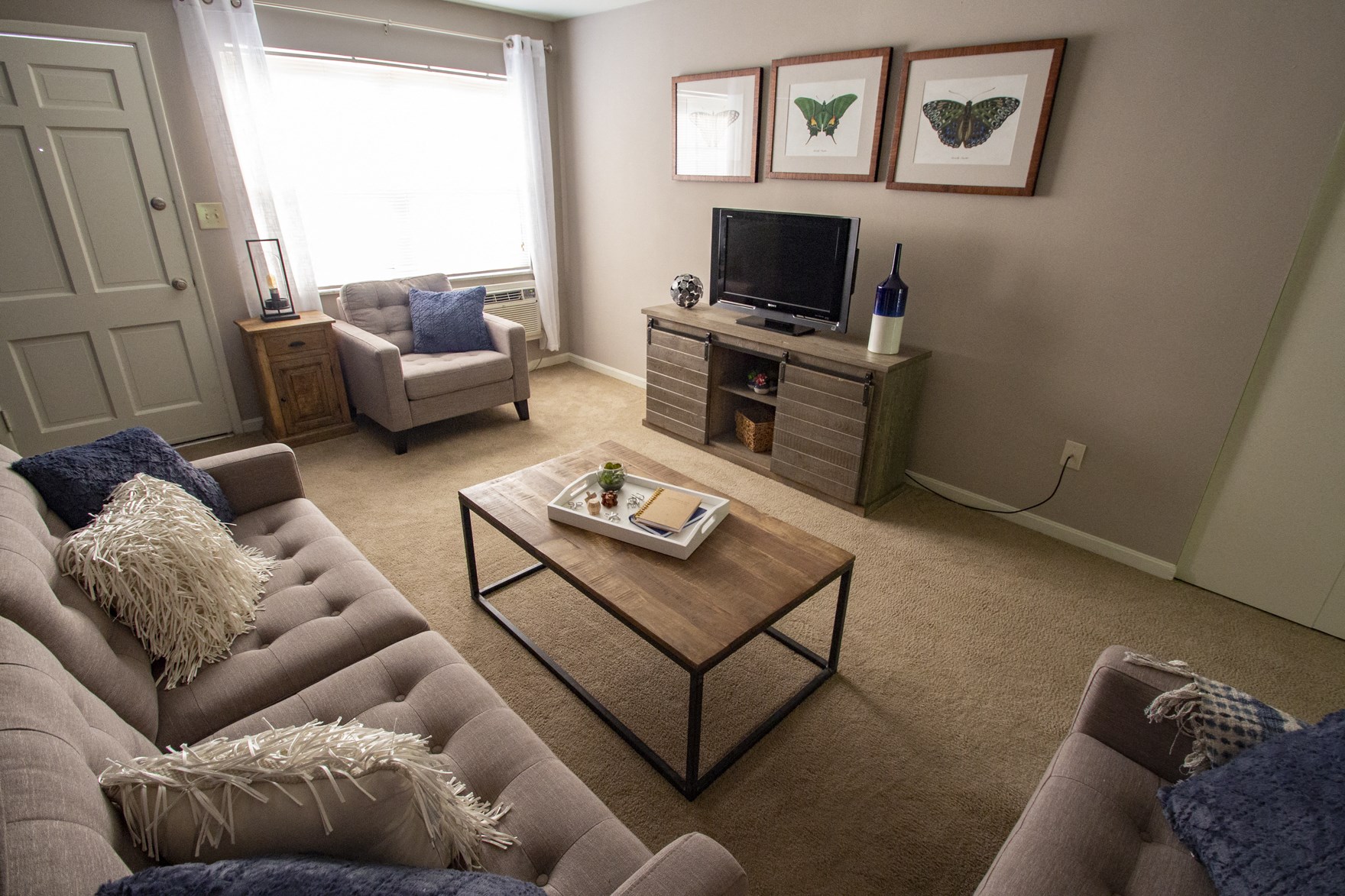 Photos and Video of College Woods in Cincinnati, OH