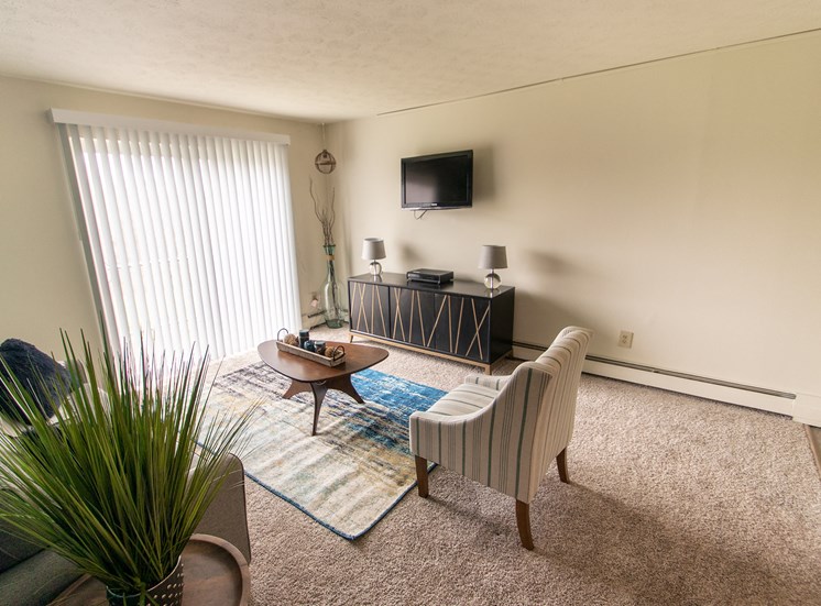 This is a photo of the living room in the 705 square foot 2 bedroom apartment at Lisa Ridge Apartments in Cincinnati, OH.