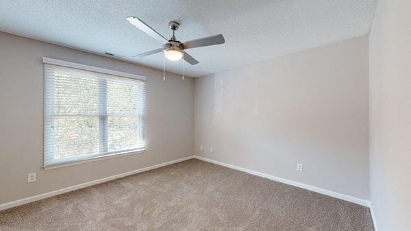 Gallery Photo 19