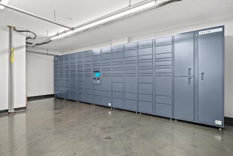 Amazon Hub package management lockers