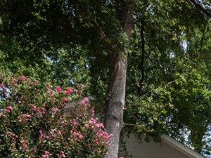 Four-Seasons-Yorktown Exterior