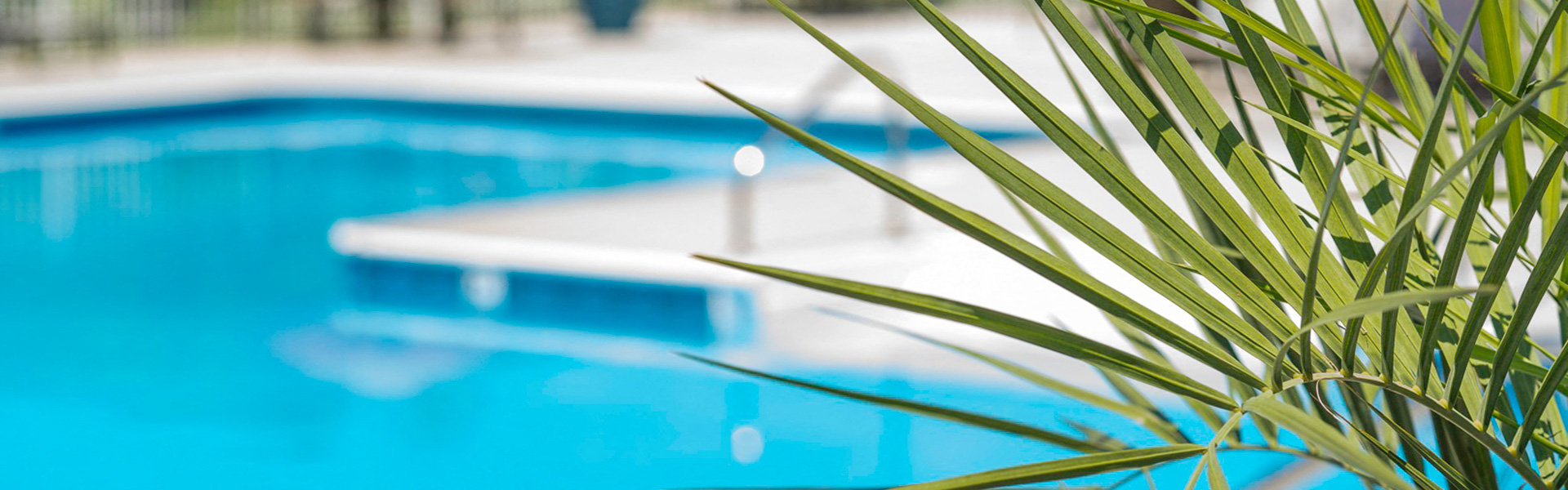 Pool with plant