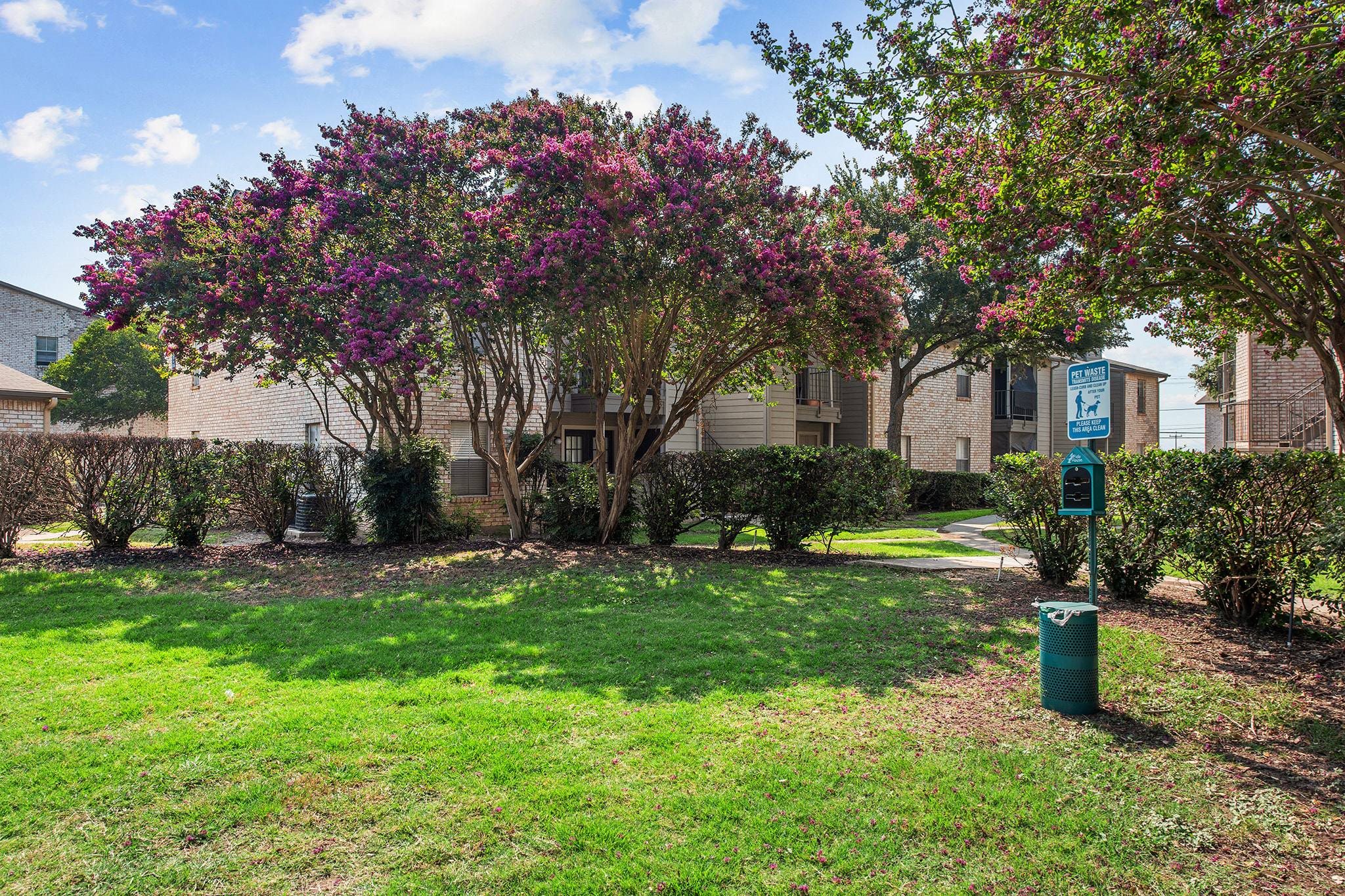 Landscaped courtyard with flowering crepe myrtle trees at Peaks at Universal City Apartments, Universal City