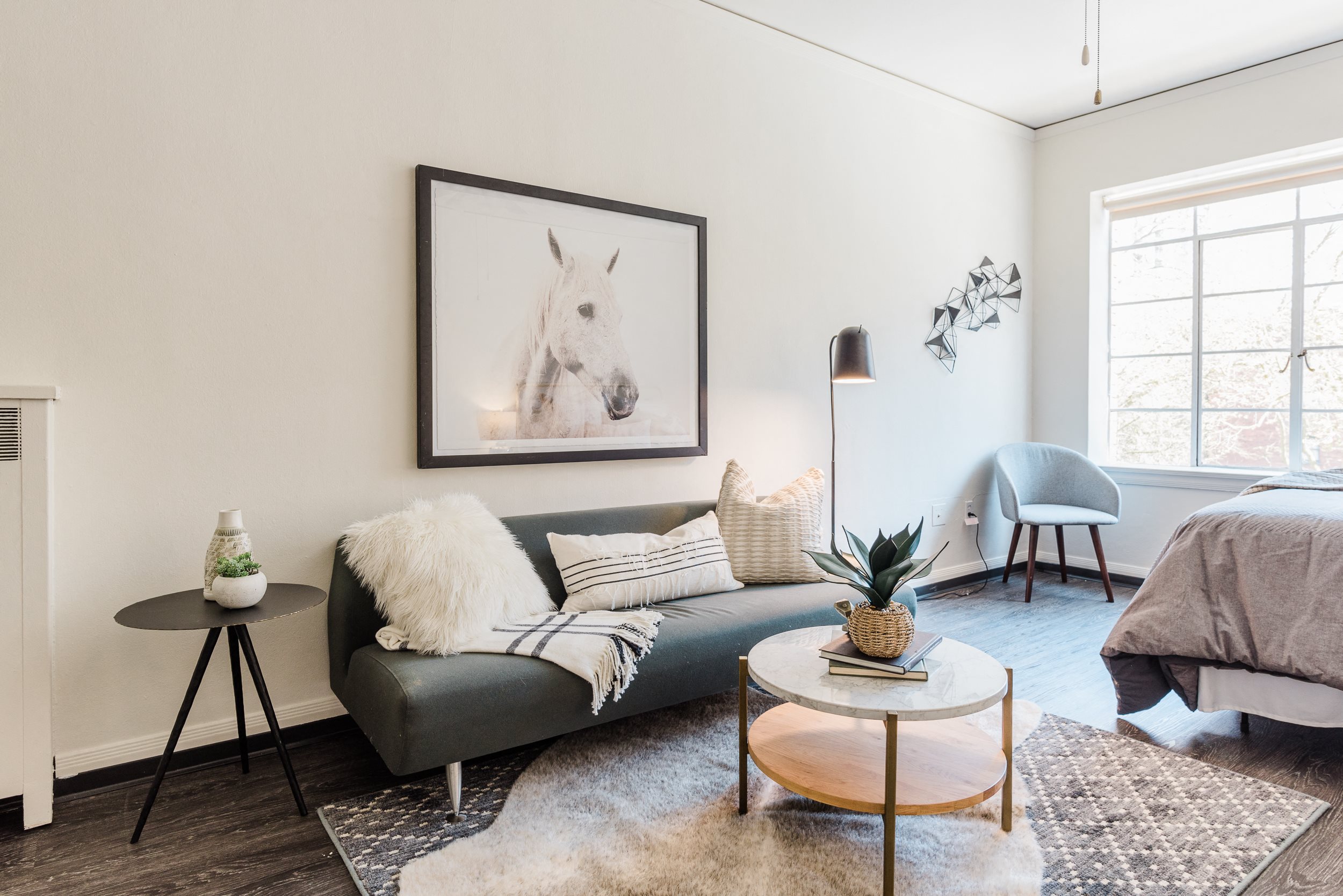sample studio apartment Cozy downtown studio with ample natural light