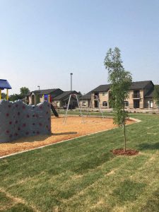 a playground with a tree in the middle of it