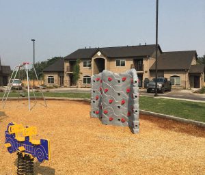 a large rock climbing wall in the middle of a yard