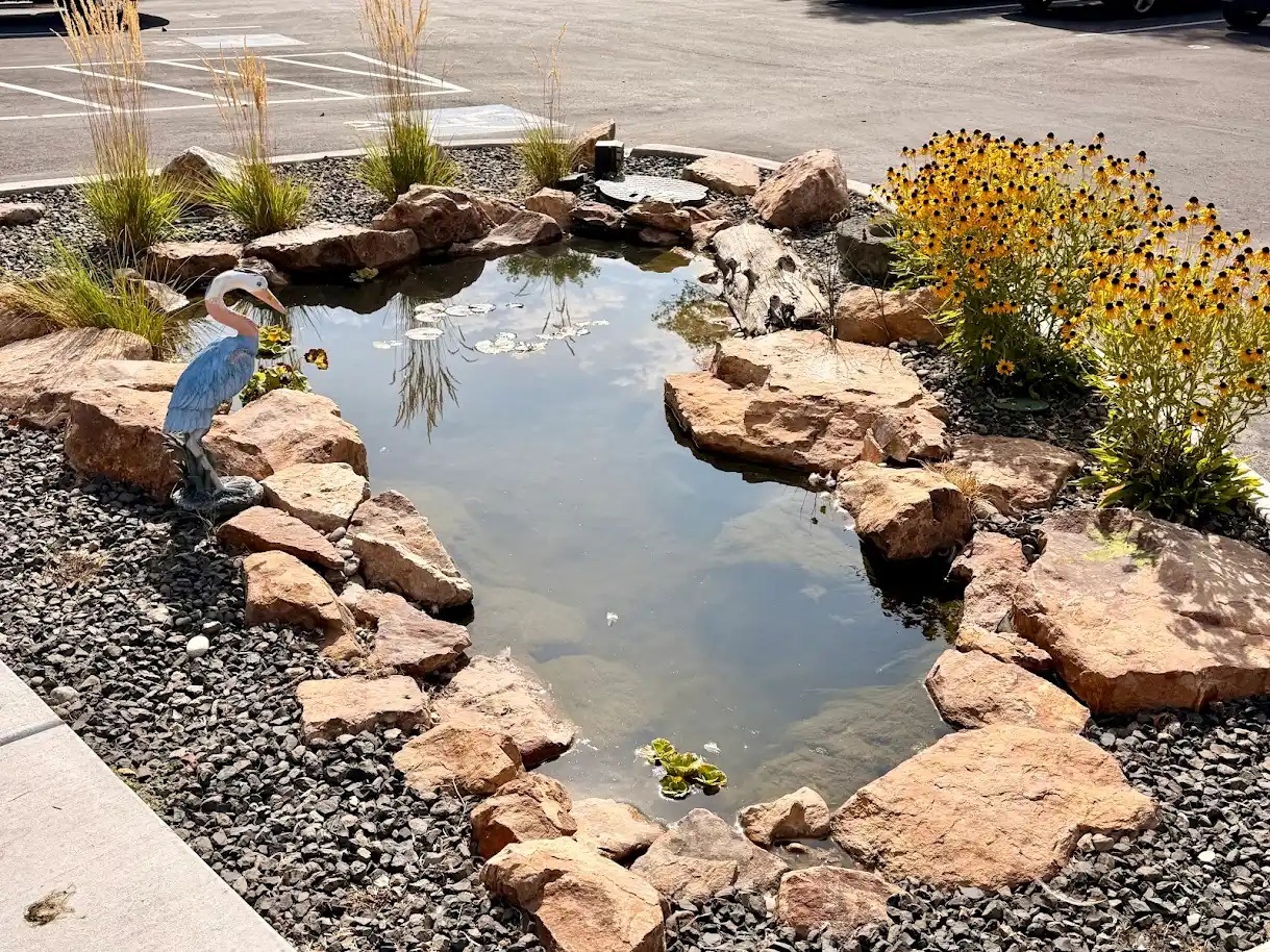 A small pond with a statue of a bird in the middle surrounded by rocks and plants.