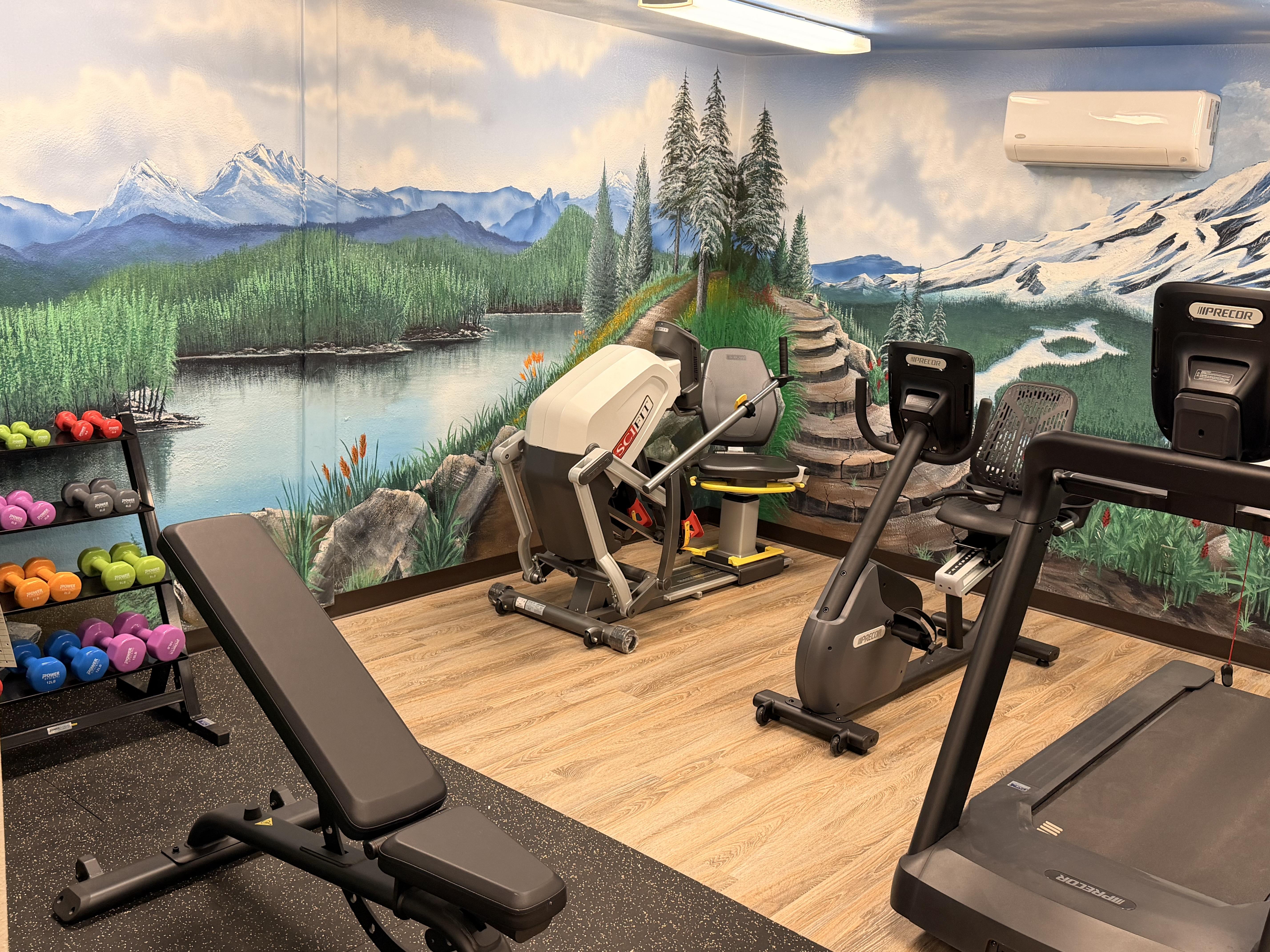 A gym with a mountain mural on the wall.