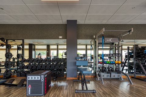 a spacious fitness center with cardio machines and weights