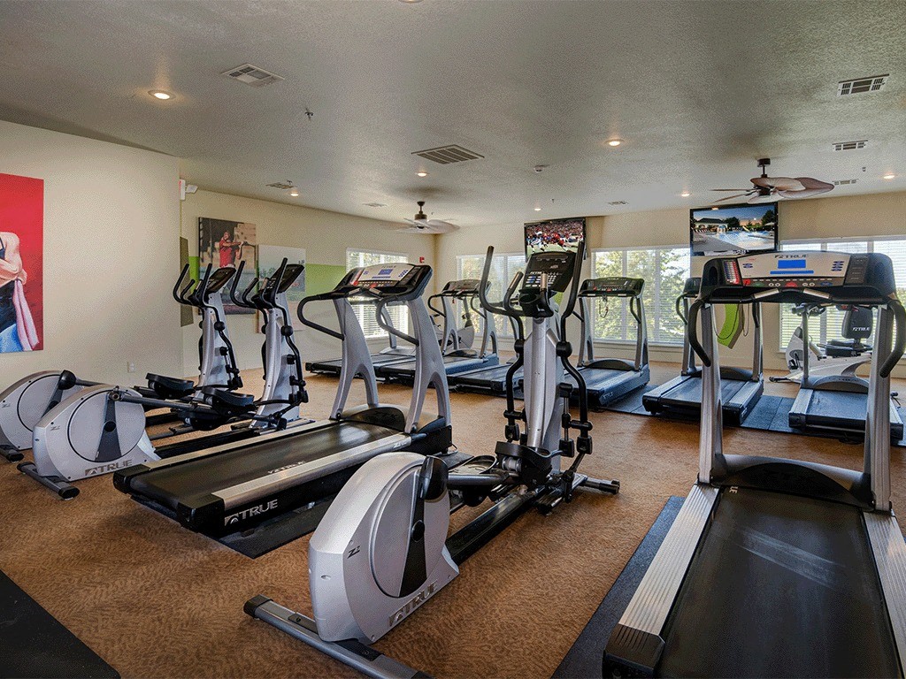 A gym with treadmills and elliptical machines.