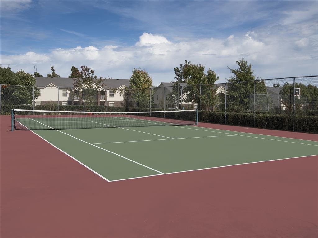 A tennis court with a net and trees in the background.