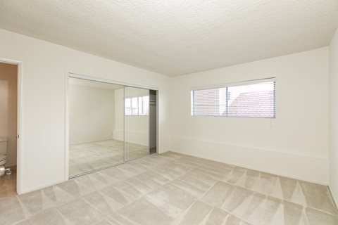 Bedroom with Carpet Floors and Mirrored Wardrobe Closet