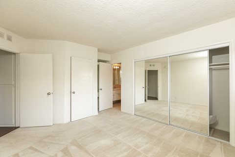 Bedroom with Carpet Floors and Mirrored Wardrobe Closet