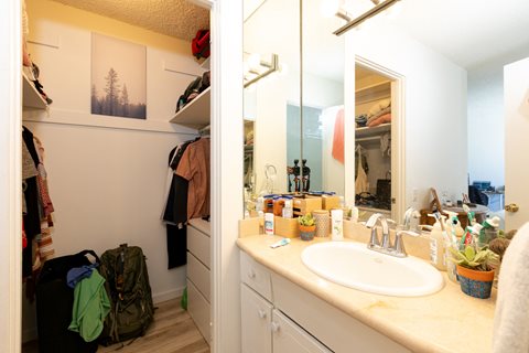 En Suite Sink and Walk-In Closet