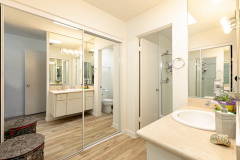 En Suite Bathroom and Mirrored Wardrobe Closet